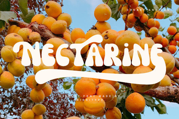 Nectarine Font: A Cool Retro Display Typeface for Campaigns